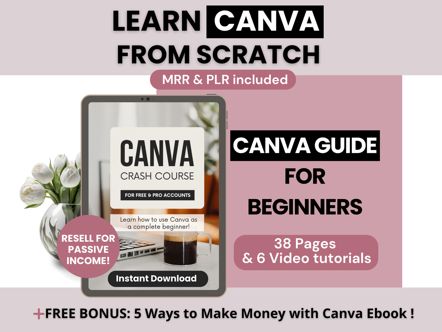 Canva Guide for beginners with video tutorials. Learn how to use canva to create stunning designs. The guide includes MRR and PLR and it is ready to resell as is for Passive Income.