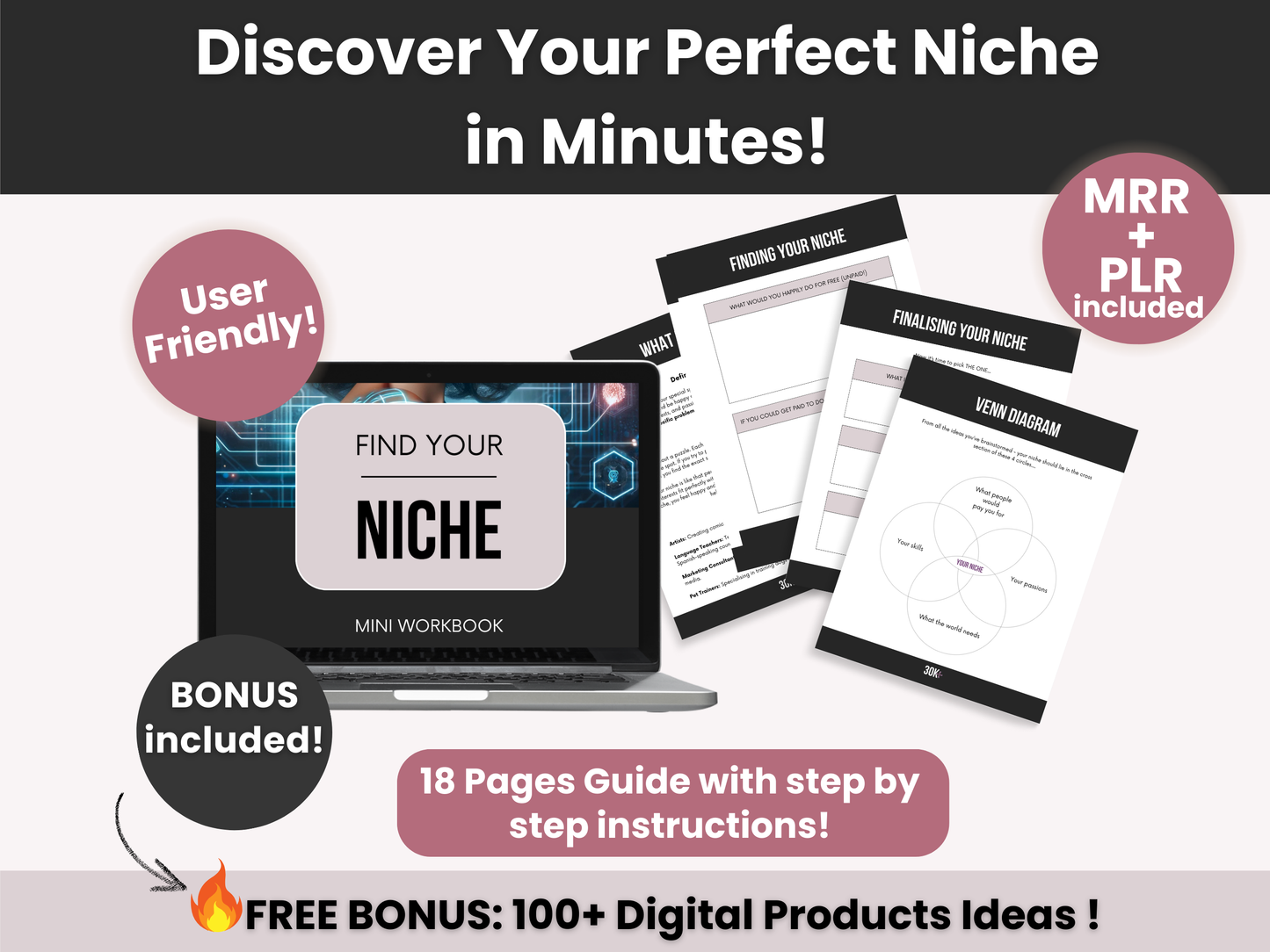 Find Your Niche Guide With Master and Private Label Rights