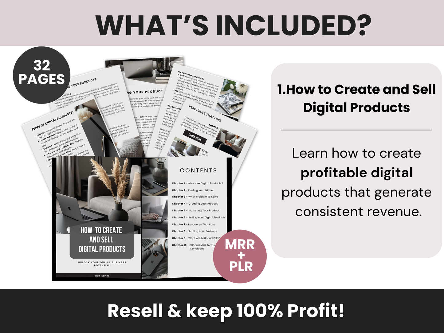Lead Magnet Ebooks Bundle for Digital Marketing with MRR & PLR