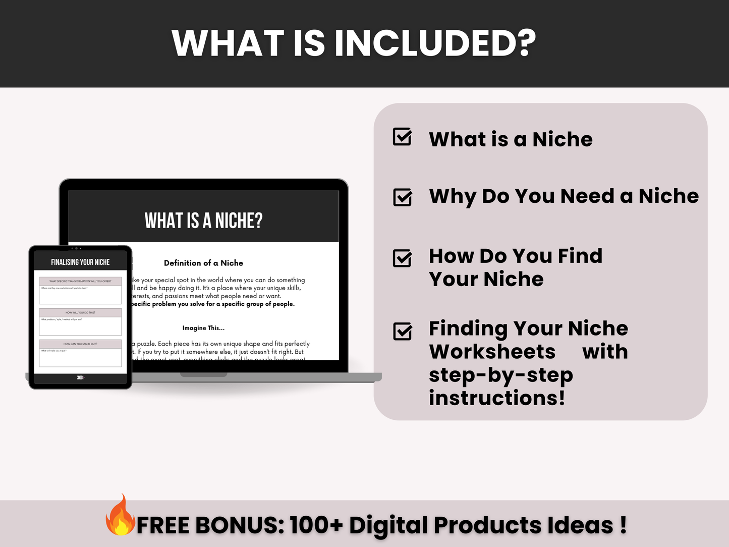 Find Your Niche Guide With Master and Private Label Rights